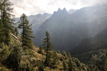 Zauberhafte Berglandschaft; Val Porcellizzo (Bernina-Alpen)