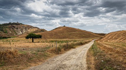 Rural landscape in Matera province at summer