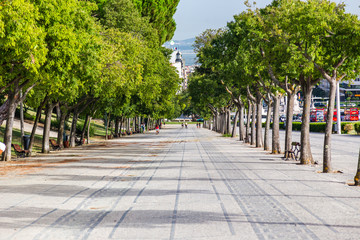  Alley of the Eduardo VII Park in Lisbon Portugal