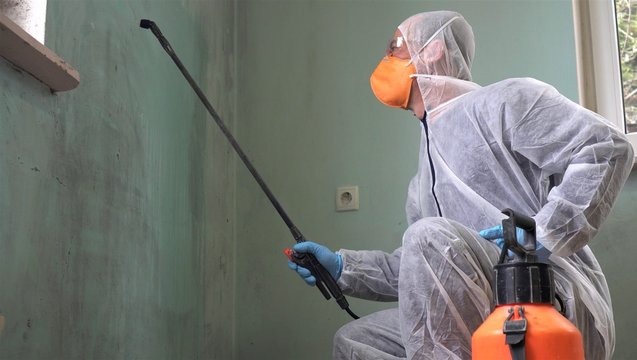 Black mold inspection and removal. A specialist in protective clothing sprays the walls of a house infected with mold. Mold and Mildew Stain Remover Spray