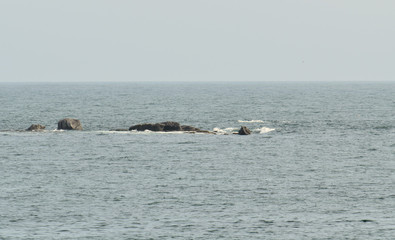 Fototapeta premium La Bretagne et toute la beauté de ses paysages marins, rochers majestueux voiliers voguant sur l'océan, récifs à fleur d'eau, et sérénité de la mer