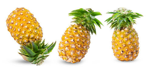 .Pineapple full size  piece collection set. .Set of pineapple Fruit food on white isolated .Clipping path.