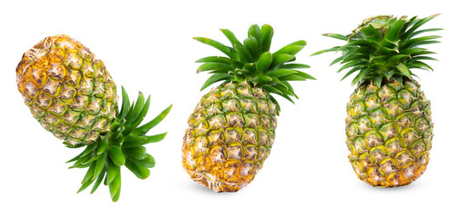 .Pineapple full size  piece collection set. .Set of pineapple Fruit food on white isolated .Clipping path.