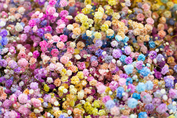 Multi-colored gypsophila pink, yellow, blue, white, orange. Wholesale floristic base, flower shop...
