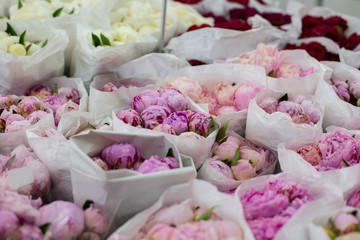 Pink peonies in bundles. Wholesale floristic base, shop with flowers for Valentine's Day on February 14 or International Women's Day on March 8.