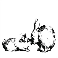 Hand drawn wild rabbit in love. Vector