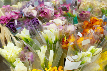 Multi-colored calla flowers white, yellow, orange, purple in bundles. Wholesale floristic base, shop with flowers for Valentine's Day on February 14 or International Women's Day on March 8.