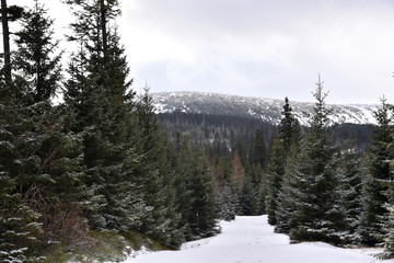 Winter in the Karkonosze Mountains, Poland.