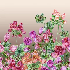  Beautiful tulip-flowered pelargoniums flowers with green leaves on gradient background. Seamless floral pattern, border. Watercolor painting. Hand painted illustration © katiko2016