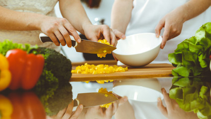 Closeup of human hands cooking in kitchen. Mother and daughter or two female friends cutting vegetables for fresh salad. Friendship, family dinner and lifestyle concepts