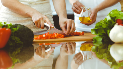 Closeup of human hands cooking in kitchen. Mother and daughter or two female friends cutting vegetables for fresh salad. Friendship, family dinner and lifestyle concepts