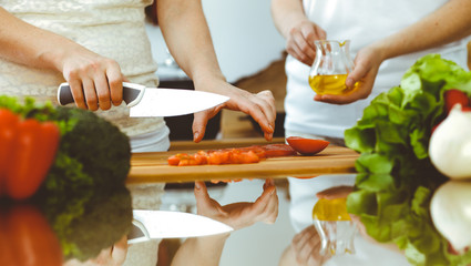 Closeup of human hands cooking in kitchen. Mother and daughter or two female friends cutting vegetables for fresh salad. Friendship, family dinner and lifestyle concepts