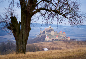 Medieval fortress ruins