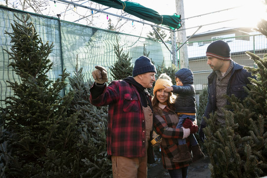 Worker helping family shopping for Christmas tree at Christmas market