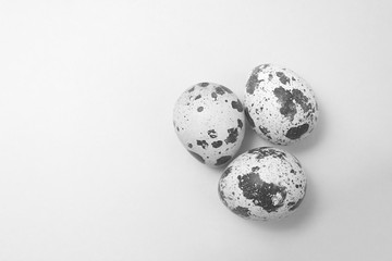Three quail eggs lie on a gray background