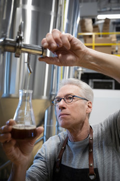 Focused Senior Male Brewer Examining Beer From Fermentation Tank In Distillery