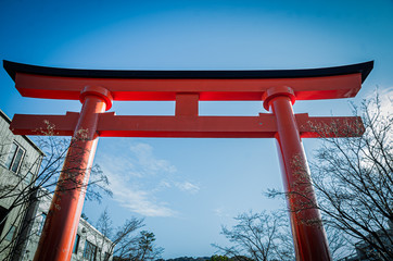 Torii Gate, Fushimi Inari temple, Kyoto Japan