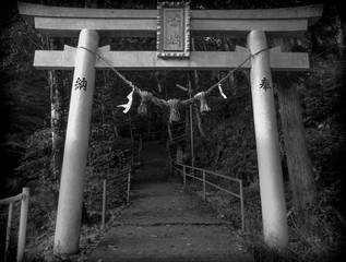 Torii gate, black and white