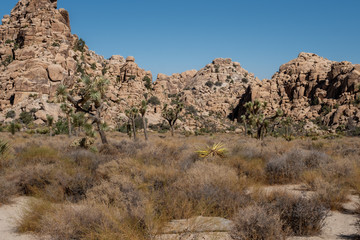 Mountains in Joshua tree desert national park, california