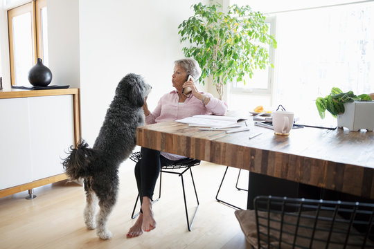 Senior Woman With Dog Talking On Smart Phone