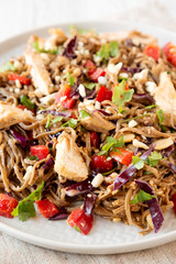 Homemade Spicy Chicken Soba Noodle Salad on a gray plate, low angle view. Closeup.
