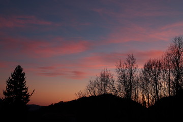 Fototapeta na wymiar silhouette di alberi al tramonto e nuvole rosa