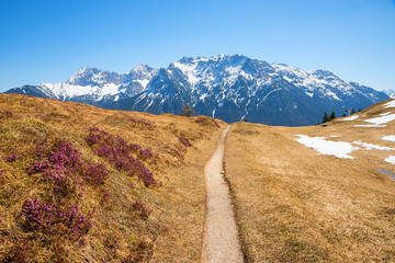 spring landscape Kranzberg mountain, with hiking path and view to beautiful Karwendel alps, bavaria