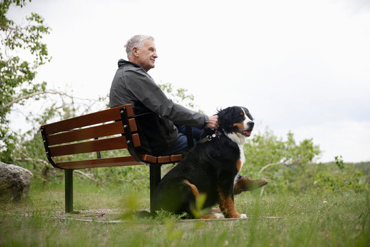 Senior Man With Dog On Park Bench