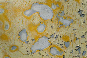 old yellow paint wall texture cracked painting on grey concrete. background pianted .