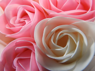Close-up of several delicate pink and white roses