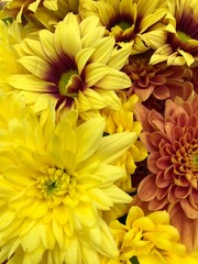 Bouquet jaune