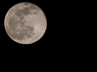 満月