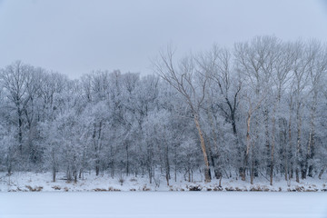 Frozen river and forest on the shore. Winter landscape