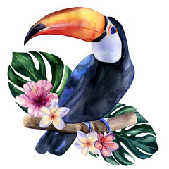 Watercolor hand painted colorful illustration of toucan bird with monstera leaves and exotic flowers. - obrazy, fototapety, plakaty