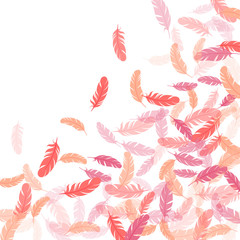 Detailed majestic feather on white design.