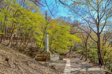 京都　八瀬もみじの小径　平安遷都紀念塔