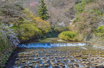 京都　高野川