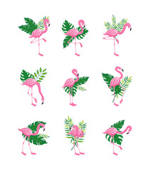 Pink flamingo bird with green tropical leaves - isolated set on white background - obrazy, fototapety, plakaty