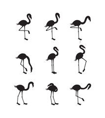 Set flamingo black silhouettes in various poses, vector illustration isolated.
