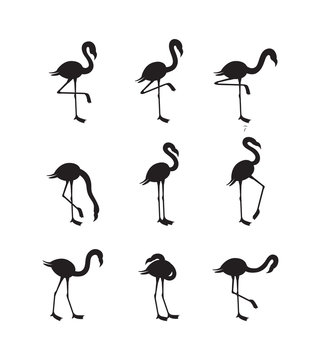 Set flamingo black silhouettes in various poses, vector illustration isolated.