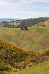 Fototapeta na wymiar Rolling Fields and Sheep in New Zealand