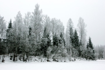 Winter landscape with snowy frost on a very high winter day