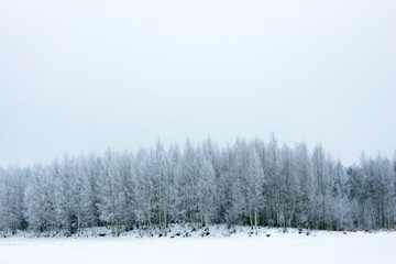 Winter landscape with snowy frost on a very high winter day