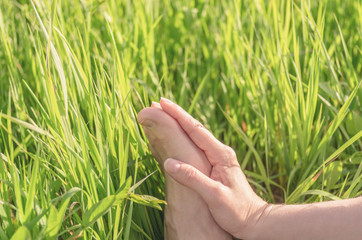 Hand hugs bare leg on a background of green grass
