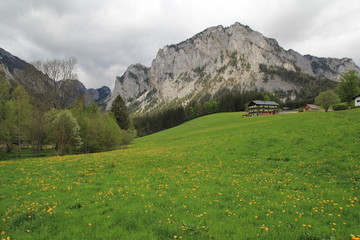 Alpy Austria