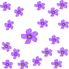 Fototapeta na wymiar Violet flowers background or pattern. Flower set Yellow, white, lilac, pink or violet flowers. Digital paper with spring design. EPS 8 vector
