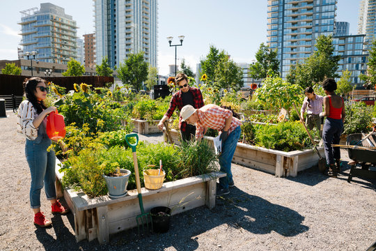 Man teaching gardening to young adults in sunny, urban community garden