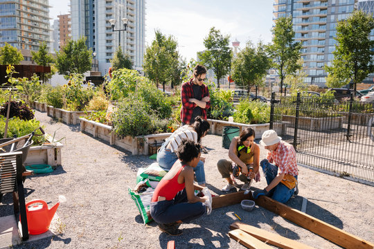 Man guiding young adults building planter box in sunny community garden