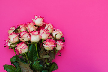 Bouquet of fresh pink roses on magenta background. Top view. Flat lay. Copy space. Valentines day, mothers day or birthday celebration concept