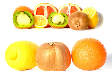Fruit set isolated on white, lemon, kiwi, orange and grapefruit,photo